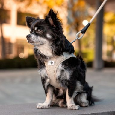 Hundegeschirr TrainerErprobt Hundegeschirr